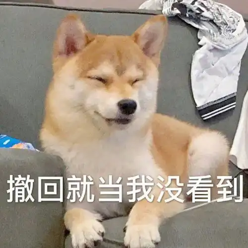 表情包害真晦气