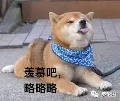 凯特又怀了嗨翻天的英媒,把皇室都懒得操的心全包了
