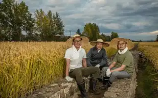 周杰尔康包拯表情包这个落魄演员已跻身亿万富豪