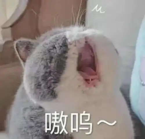 来了密室逃脱剧本杀等有安全风险,广西已有场所被临时查封..