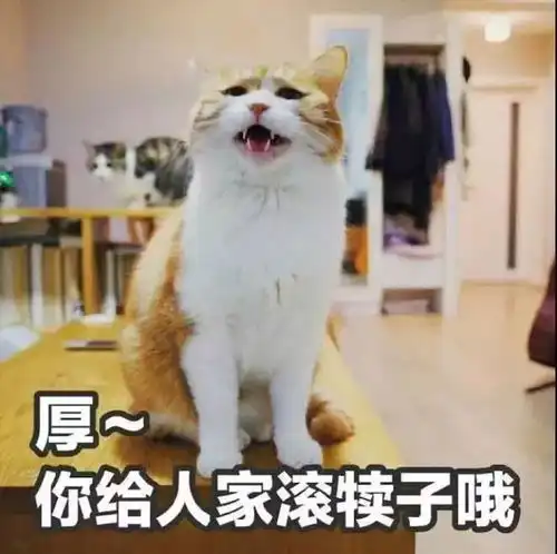 我认识一个模特,超努力超敬业丨模特文化