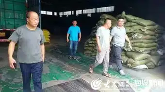 双管齐下利剑斩污皂户李镇开展污染防治攻坚行动