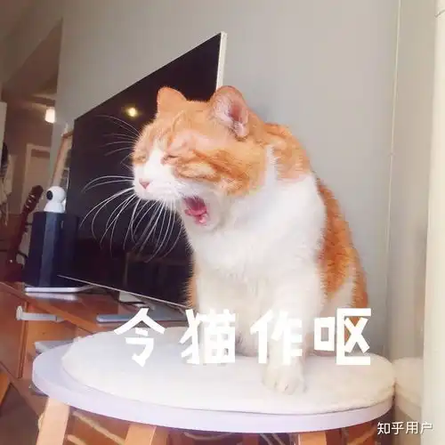 如何评价中国人民公安大学正义督察钟子峻