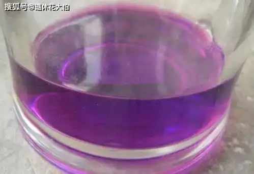 这3样药过期不要扔,拿来养多肉,保管越长越好