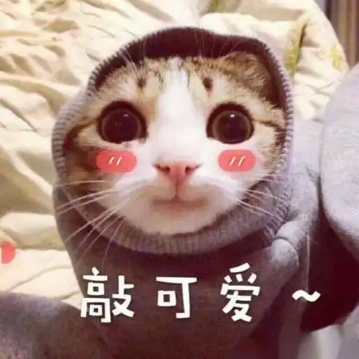 学习