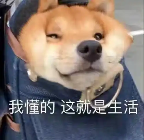 宁要曹县一张床,不要上海一套房这梗有多夸张