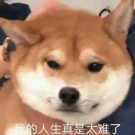 又双叒延误刚刚深圳地铁5号线冲上热搜,多人滞留站台,网友被迫请假