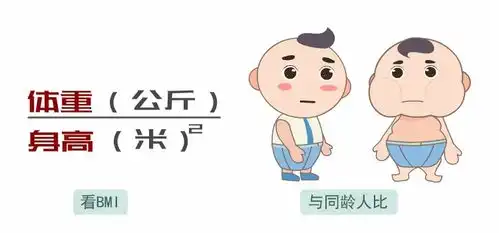 宝宝养得胖真的是件好事吗