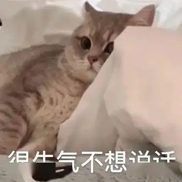 很生气不想说话