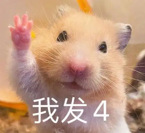 手机里那些最宝贝的表情包,速来收图