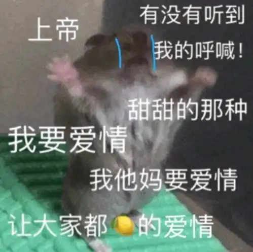 soul,一伴婚恋,only到底哪个软件最能交到朋友