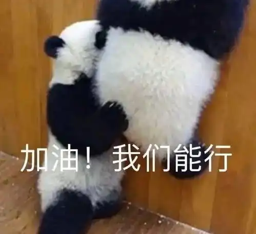 2021年考研,哪些专业分数可能会在涨