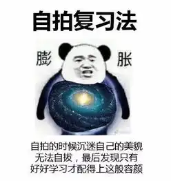 你需要的复习攻略来啦