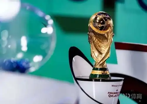 卡塔尔世界杯禁止一夜情fifa回应我们尊重球迷隐私