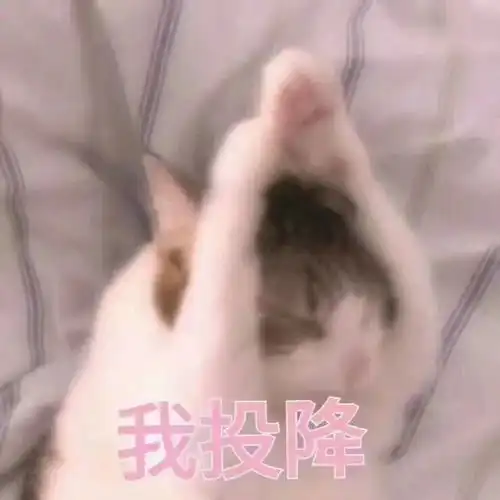 表情包好玩有趣的憨憨表情包