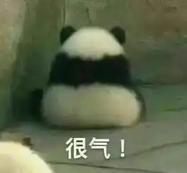 萌爆了大熊猫被脱裤子爆红网络熊猫我不要面子的啊每日一笑830期