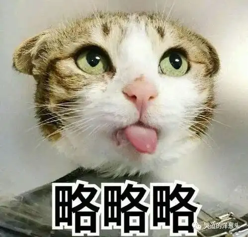 新片闲扯淡海王之美人鱼是否存在呢