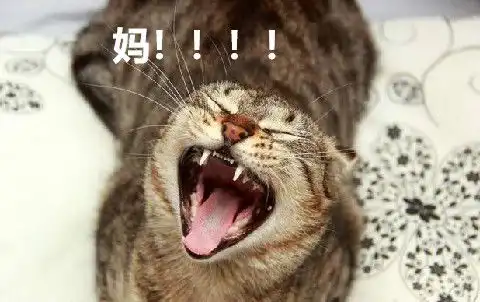 你爱用的微信表情包,暴露了真实的你