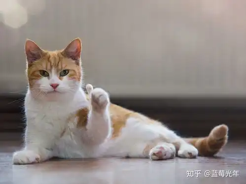 椰棕弹簧乳胶,教你选择合适的床垫,从此告别选择困难症