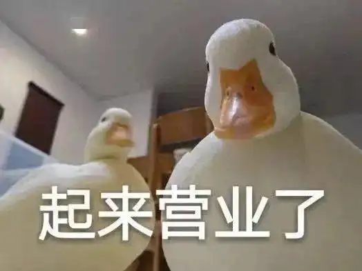 专访你看过鸭团吗codea自带表情包来了
