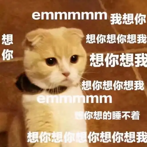 好气王思聪的舔狗求爱聊天语录被曝光,竟然还有得不到的女人
