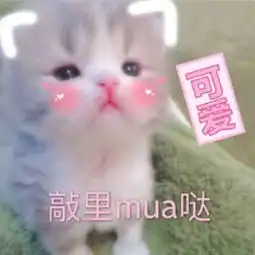 卖萌表情包