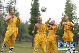 少林寺欲打造少林足球挽救中国足球低迷
