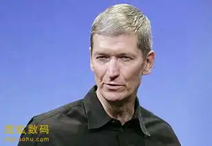 实录苹果ceo接受搜狐专访