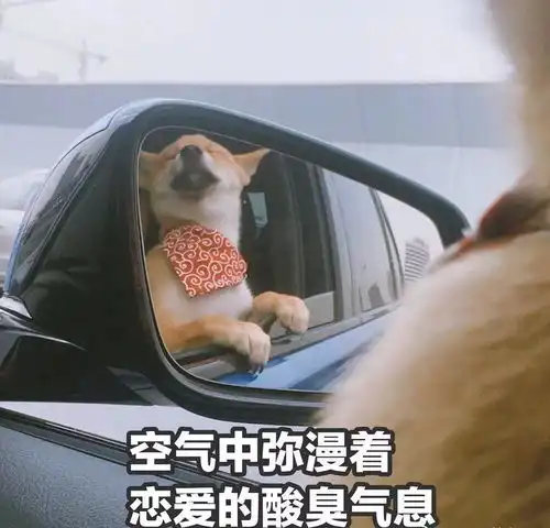 我寻思着为什么每次情人节都很想笑