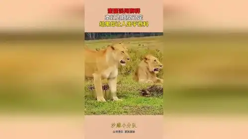 蜜獾误闯狮群,本以为胜负已定,结果却让人出乎意料