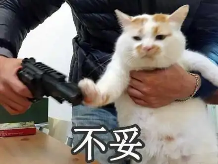 ptsd是什么梗抖音ptsd意思含义出处游戏吧
