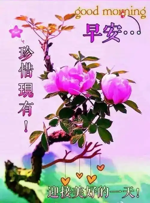 大家早上好,秋季最好看的早上好图片祝福语早上好表情大全