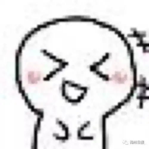 美爆高清大图十分靓梅州江南新城近3000套安置房竣工验收