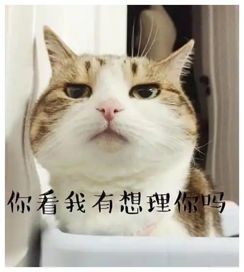 爆笑段子看到你的第一眼,就觉得这辈子如果能追到你,死了都值