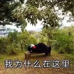 表情包一大波毒表情包来了斗图不用愁
