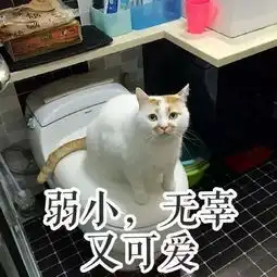 2017年度表情包大赏小猪佩奇,笑着活下去,边缘试探.你最爱哪一个