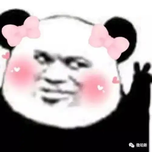 珀斯动物园大逃亡居然还有吸血蝙蝠你会不会遇见这些四处逃窜的通缉犯