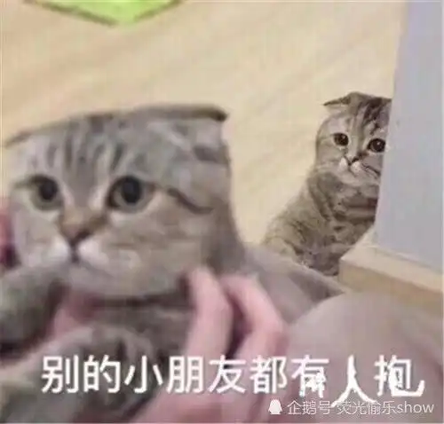 软萌撩人专用图我做错什么了嘛你为什么不秒回
