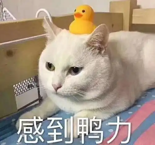 开心一刻笑话老爸打电话来说收到一条信息,说我被绑架了
