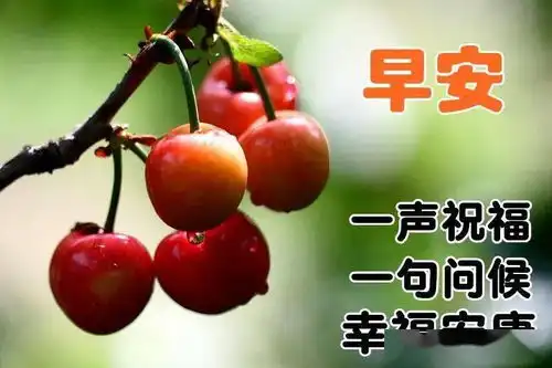 12月8日周二清晨早上好问候祝福动态表情图片12月最新早安问候祝福图片带字温馨