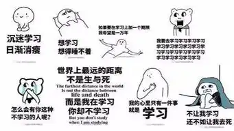 掌门1对1学员叶梓欣高考564分,超一本99分