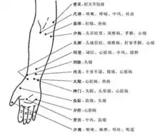 吐血整理超全人体穴位图谱附经络循行动图
