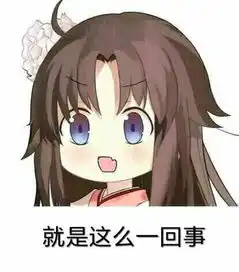 然后将行车记录仪的存储卡内容考下来
