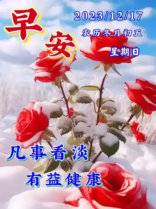 12月17日最新早上好漂亮图片祝福