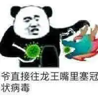 谁还有关于qq群聊龙王的表情包啊