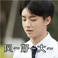 表情包做头像搞笑微信头像图片大全