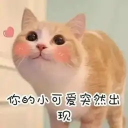 今天的精彩等你来临幸