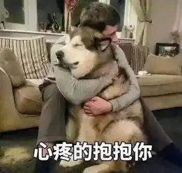 偷狗贼在江门被捕,自爆毒狗打算供应给人吃...
