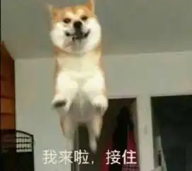 十天自由行一条龙云南昆明普洱墨江楚雄彝族自治州大理内附多图和视频