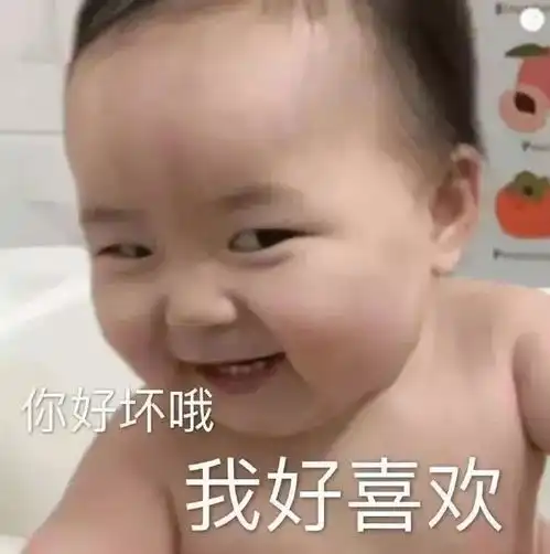表情包一天天的啥也没干